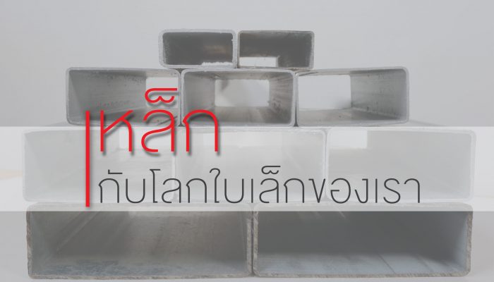 เหล็กกับโลกใบเล็กของเรา